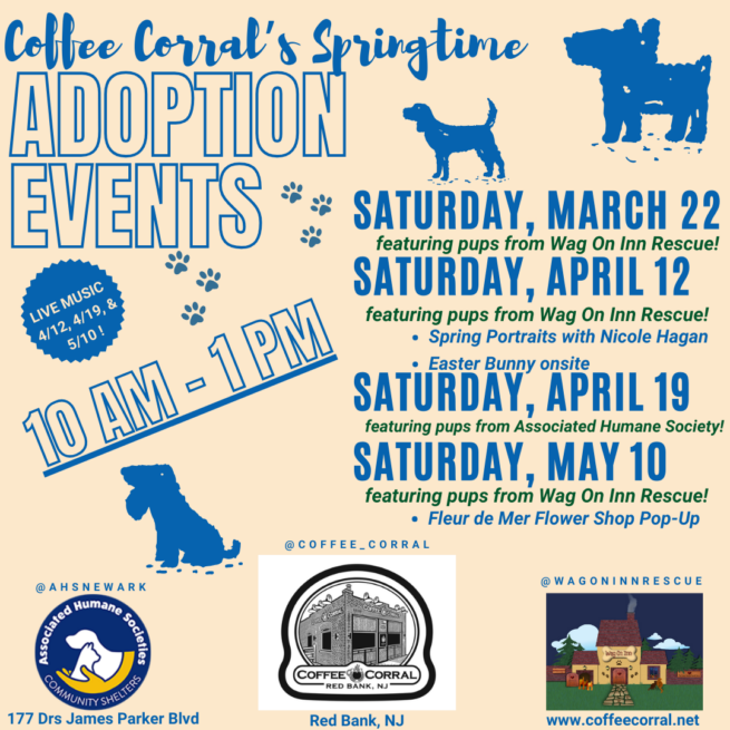 Spring Adoption Events