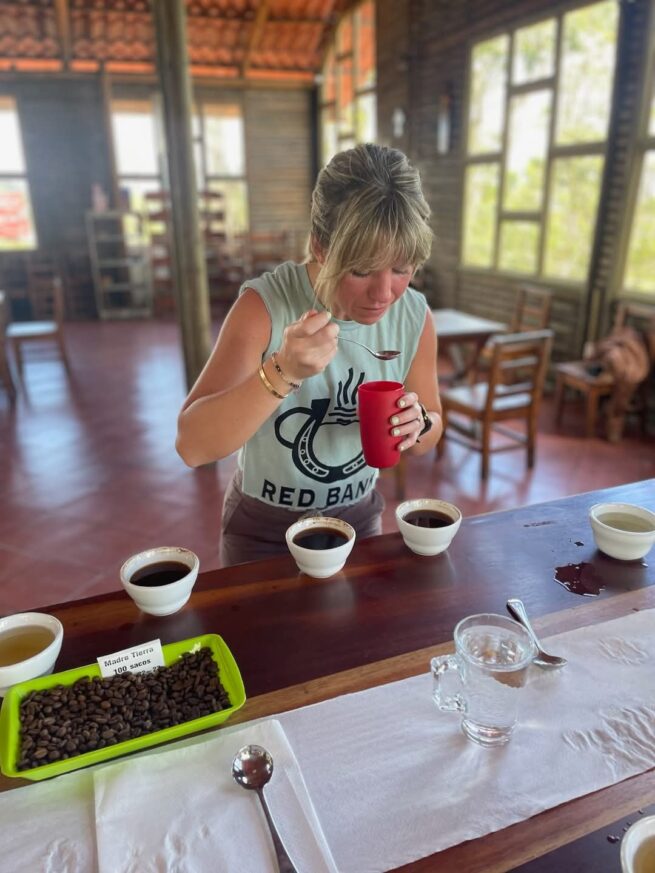 Costa Rica La Amistad - Organic - Wholesale - Image 4