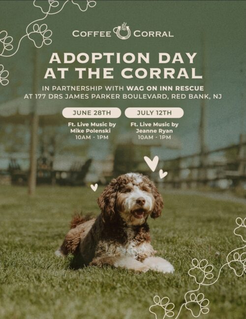 Summer Adoption Events