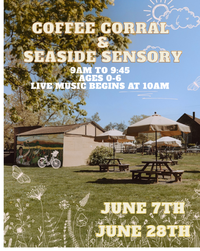 Saturday Sensory Series  - Seaside Sensory
