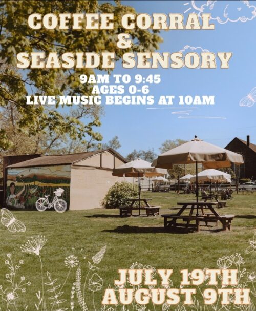 Saturday Sensory Series  - Seaside Sensory