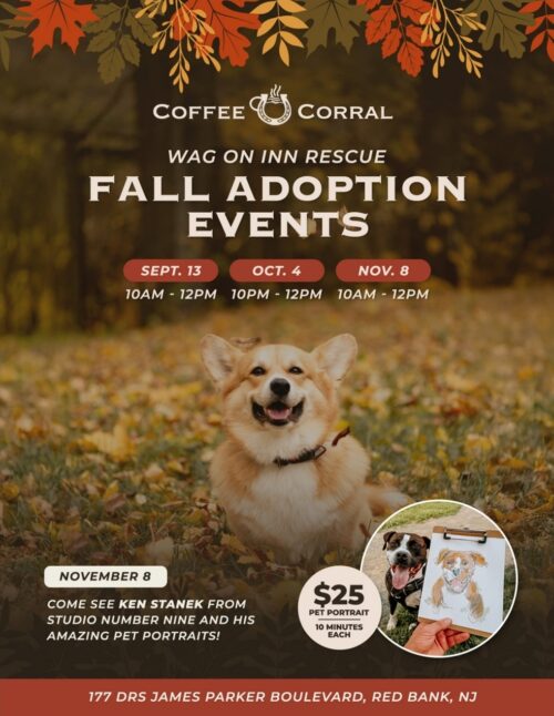 Fall Adoption Events